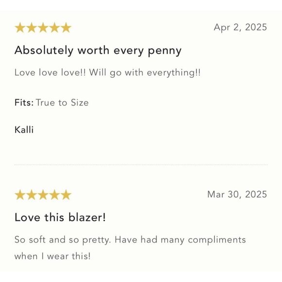 NWT Size L -  Dolan Left Coast Faux-Suede Boyfriend Blazer (NWT US$ 168) - Picture 8 of 16